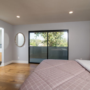 Contemporary whole house remodel