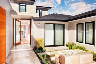 This is an example of a modern entryway in Orange County with grey walls, medium hardwood floors, a pivot front door and a medium wood front door.