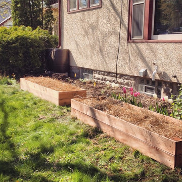 2x8 Cedar Raised Garden Veggie Beds