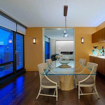 Chicago Condo Full Remodel