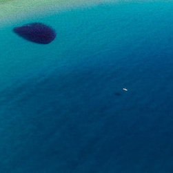 Following Fish by Joel Coleman - Photographs