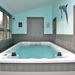 Endless Pools - Endless Pool&reg; Swim Spa Series - Hot Tub And Pool Supplies