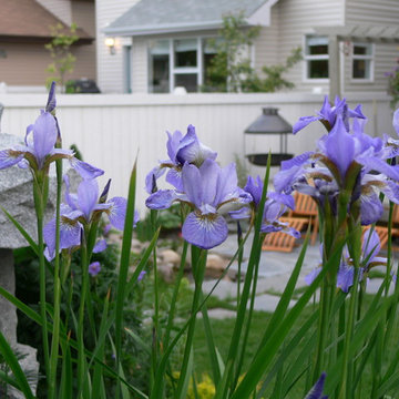 Cottage Garden - Small yard