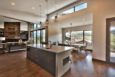 This is an example of a large modern open plan kitchen in Salt Lake City with medium hardwood floors, with island and brown floor.