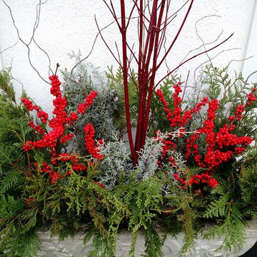 Winter Planters