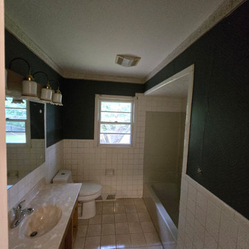 Mickeys Bathroom