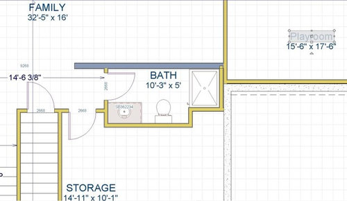 Basement bathroom layout