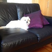 Maria Biscaro's photo