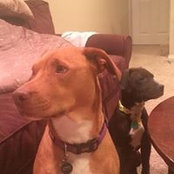 Dawn Campbell's photo