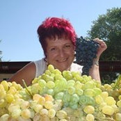 Olena Manchenkos billede