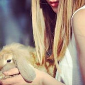 Foto de Iulia Sfarlea
