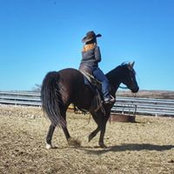 Willi Baughman's photo