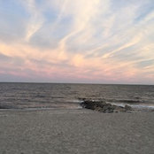 Nicole Grady's photo