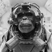 Jason Borlinghaus's photo