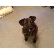 Donnie Thomas's photo