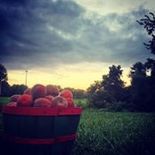 Aaron Lamer's photo