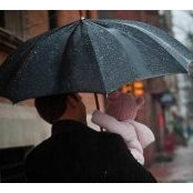 Joshua Torrisi's photo