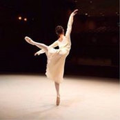 Foto von Shuo Li