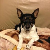 Jocelyn Warnock's photo