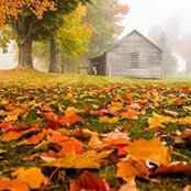 Debbie Miller's photo