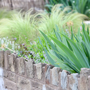 Colorful front yard, dog friendly backyard.