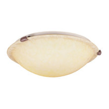 Living room ceiling fixture