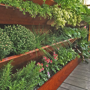 Réalisation d'un petit jardin design avec une exposition ensoleillée.