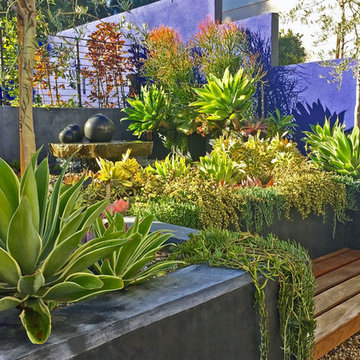 Calabasas Entry Courtyard