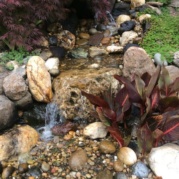 Award Winning Orinda Backyard