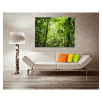 THE BIOPHILIC EFFECT
