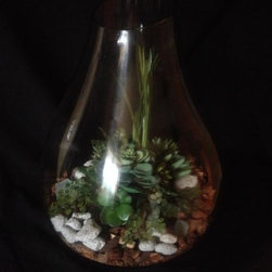 The New Greenery - Products