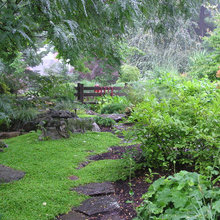 Landscaping ideas