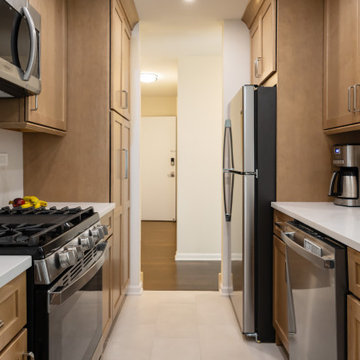Galley Kitchen in Schaumburg