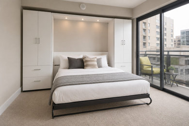 Inspiration for a bedroom remodel in DC Metro