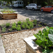 Organic garden