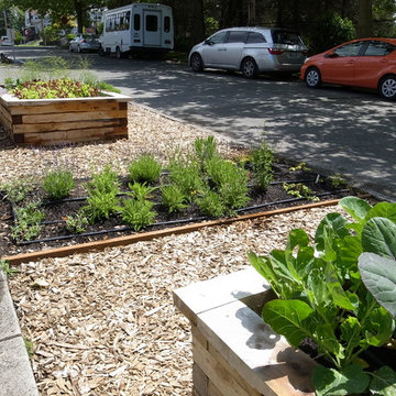 Wallingford Vegetable Beds