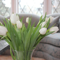 Home Styling - Plants