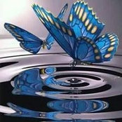 Nedla Howton's photo
