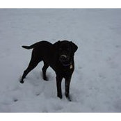 Carrie Erdmann Wagner's photo