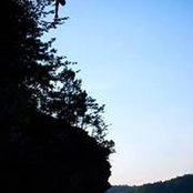 Josh Levine's photo