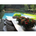 Sunflower Gardens's profile photo