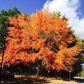 Deborah Keefe's photo