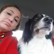 Stacy Stack's photo