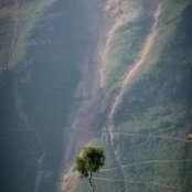 Far Awayさんの写真