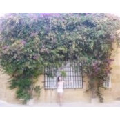 eva_chengs billede