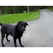 Frank Anzalone's photo