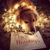 Judith Baker's photo