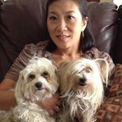 Heidi Wohl's photo