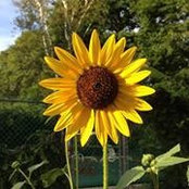 Wendy Lovendale's photo