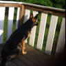 Shannon K's photo